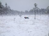 DSC05888  vinteren ser nu bedre ud når der er sne