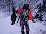 DSC05904  i samme komm erder en sort tønde flyvende op ad skoven lige imod mig. Jeg når lieg at klappe bøssen i, trække op og spidskud ..bum den går lige i marken..flot stor tjur .. min første