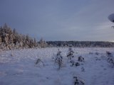 DSC05964
