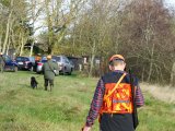 DSC05615  Fasan efter første såt