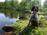 DSC05284  ok vi er dagne før fuglepremieren =  går søen rundt for at fiske