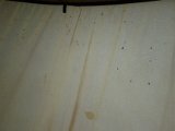DSC05356  men de satans stor-knott ..kravler hver gang ud af Haps pels og jeg jager dem på teltdugen