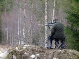 DSC06245  så er de ankommet, med det samme ud på engen da vi lige kan nå at komme ud her samme aften