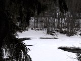 IMGP4571  ved Stefans grusgrav hvor jeg havde tur i den 2 sidste år -> lagunen tiliset.. ingen spor efter noget