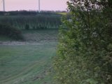 DSC08117  Lidt senere opdager jeg en buk er kommet tilbage og lagt sig ca 20m fra stigen