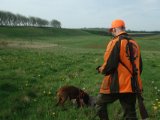 DSC08128  ja hunde fanger den i luftfært