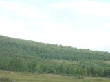 DSC09261