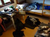 DSC09297  vi er alene i vandrerhjem rummet, så hund og jeg spreder os