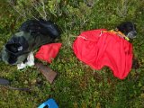 DSC09320  anden dag samme område .. hund er træt .. vi finder / ser heller ikke noget som helst i dag .. prøver samme steder som igår