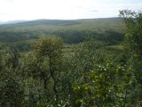 DSC09360