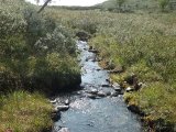 DSC09367