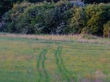DSCF5621
