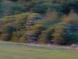 DSCF5622