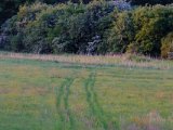 DSCF5624