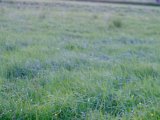 DSCF5639