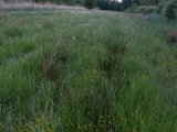 DSC00716