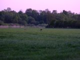 DSCF5509