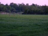 DSCF5510