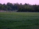 DSCF5511