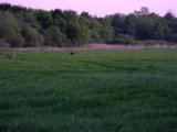 DSCF5513