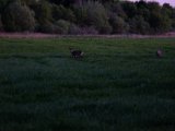 DSCF5519