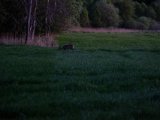 DSCF5520