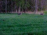 DSCF5525