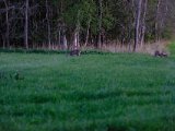 DSCF5526