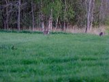 DSCF5528