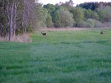 DSCF5532