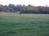 DSCF5533