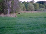 DSCF5534