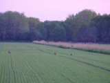 DSCF5549