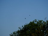 DSCF5558
