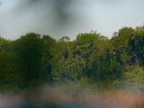 DSCF5643