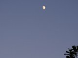 DSCF5652