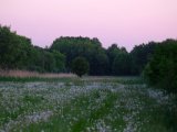 DSCF5655