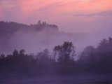 DSCF5568