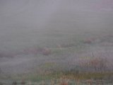 DSCF5575