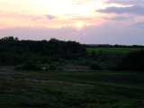 DSCF5601