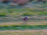 DSCF5612