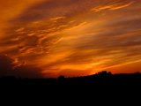 DSCF5664