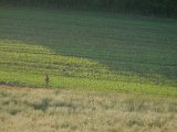 DSCF5686