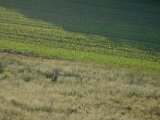 DSCF5695