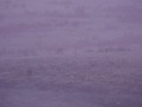 DSCF5751