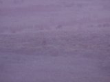 DSCF5752