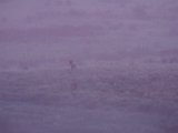 DSCF5754