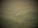 DSCF5769