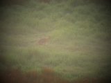 DSCF5770
