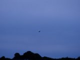 DSCF5801